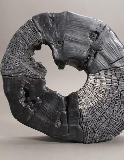 Breaking the circle slate on exotic wood diam 42cm
