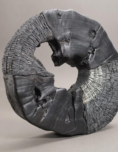 Breaking the circle slate on exotic wood diam 42cm